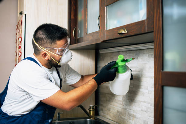 Pest Control Cost in Sycamore, IL