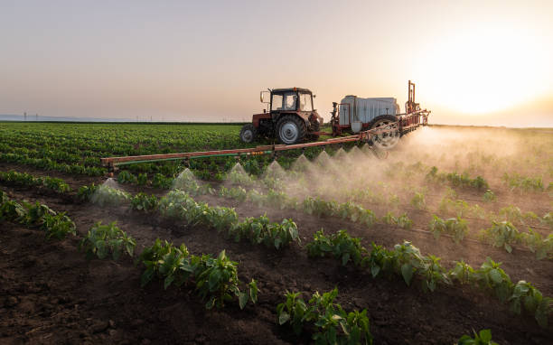 Best Mosquito Control Services  in Sycamore, IL