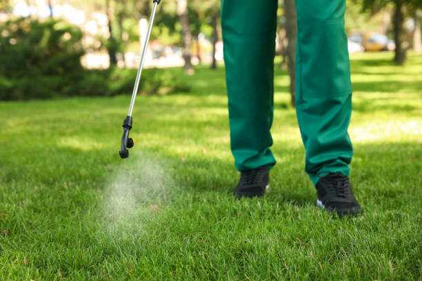 Best Rat Extermination Near Me  in Sycamore, IL