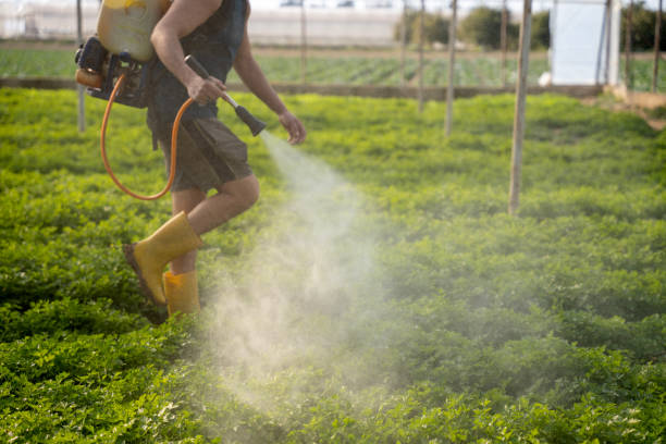 Professional Pest Control in Sycamore, IL