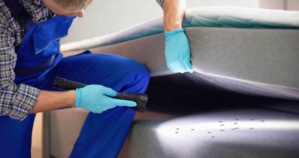 Best Ant Control Services  in Sycamore, IL