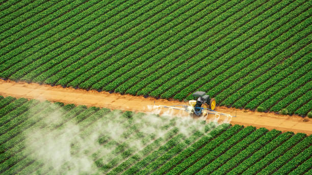 Best Pest Removal Services  in Sycamore, IL